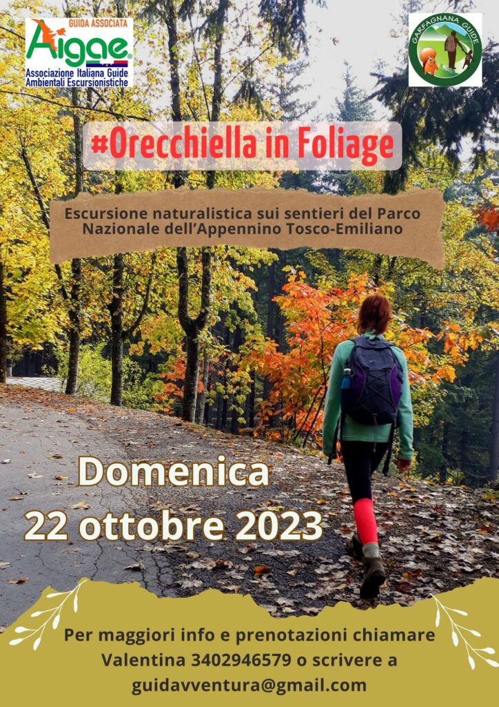 Evento 22 ottobre orecchiella in foliage